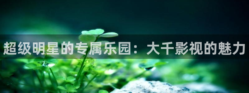 南瓜影视大全免费观看：超级明星的专属乐园：大千影视的魅力