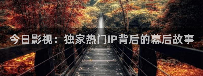 南瓜视频免费观看电视剧：今日影视：独家热门IP背后的幕后故事