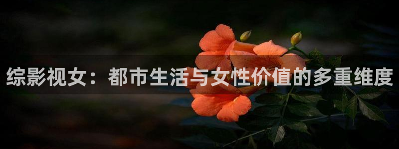 南瓜影视app最新官网下载：综影视女：都市生活与女性价值的多重维度
