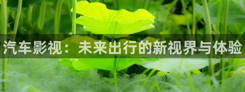 少年包青天1部40集免费南瓜影院：汽车影视：未来出行的新视界与体验