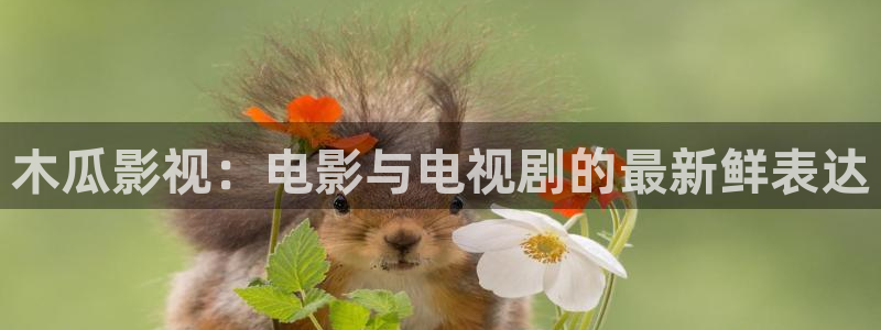 免费南瓜电影：木瓜影视：电影与电视剧的最新鲜表达