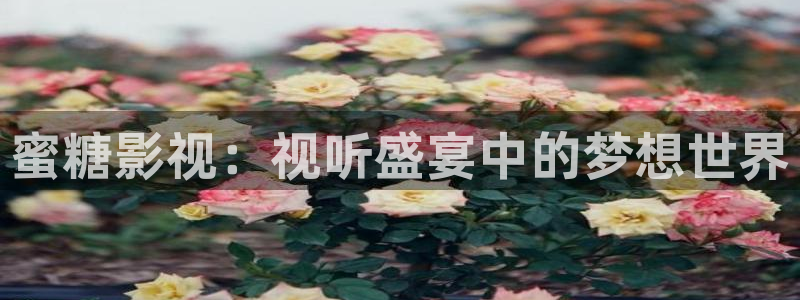 南瓜江西：蜜糖影视：视听盛宴中的梦想世界