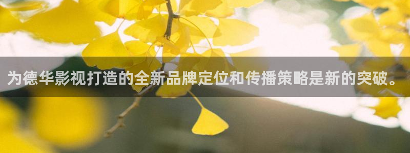 南瓜视频在线：为德华影视打造的全新品牌定位和传播策略是新的突破。