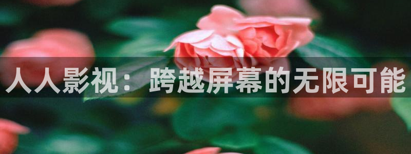 南瓜电影：人人影视：跨越屏幕的无限可能