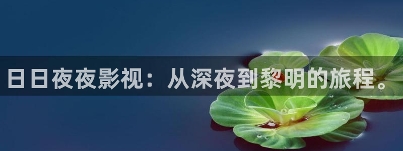 南瓜电影最新版本：日日夜夜影视：从深夜到黎明的旅程。
